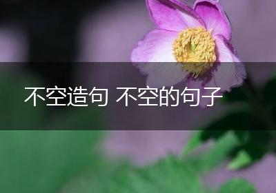 不空造句 不空的句子
