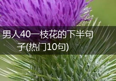 男人40一枝花的下半句子(热门10句)