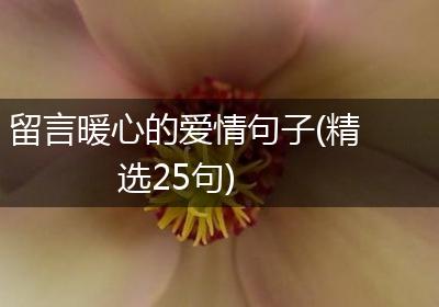 留言暖心的爱情句子(精选25句)