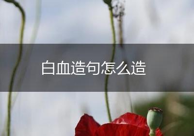 白血造句怎么造
