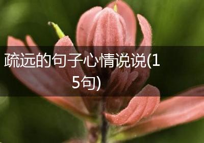 疏远的句子心情说说(15句)
