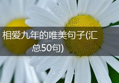 相爱九年的唯美句子(汇总50句)