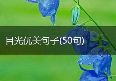 目光优美句子(50句)