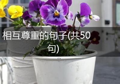 相互尊重的句子(共50句)