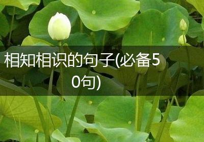 相知相识的句子(必备50句)