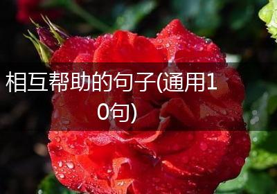 相互帮助的句子(通用10句)