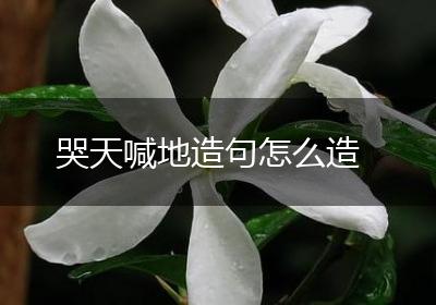 哭天喊地造句怎么造