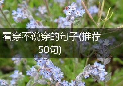 看穿不说穿的句子(推荐50句)