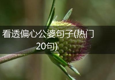 看透偏心公婆句子(热门20句)