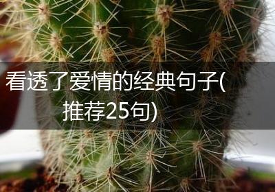 看透了爱情的经典句子(推荐25句)
