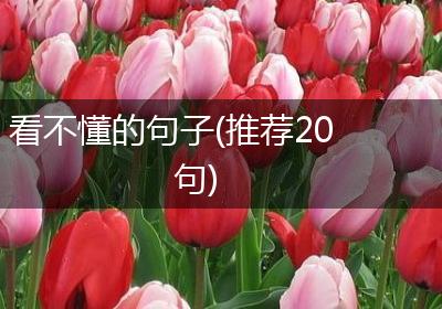 看不懂的句子(推荐20句)
