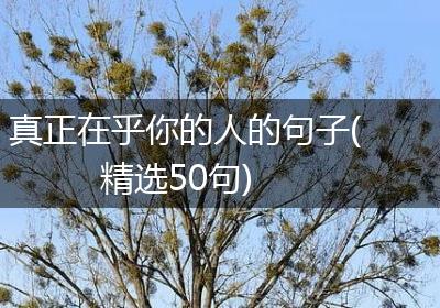 真正在乎你的人的句子(精选50句)