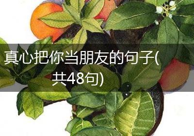 真心把你当朋友的句子(共48句)