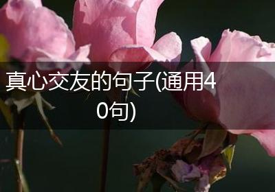 真心交友的句子(通用40句)