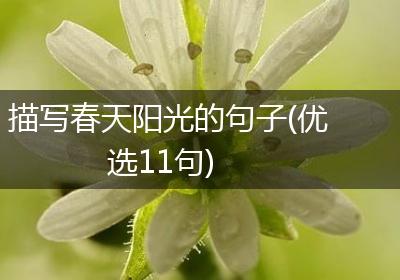 描写春天阳光的句子(优选11句)