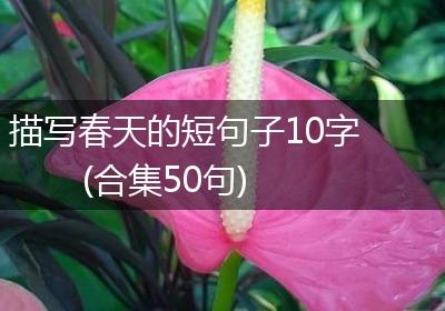 描写春天的短句子10字(合集50句)