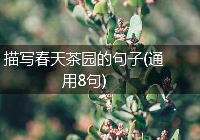 描写春天茶园的句子(通用8句)