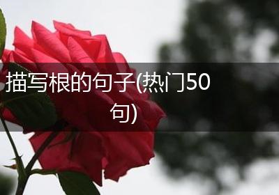 描写根的句子(热门50句)