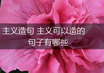 主义造句 主义可以造的句子有哪些