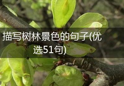描写树林景色的句子(优选51句)