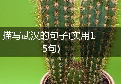 描写武汉的句子(实用15句)