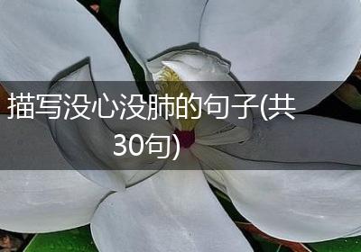 描写没心没肺的句子(共30句)