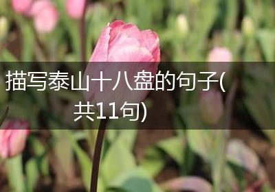 描写泰山十八盘的句子(共11句)