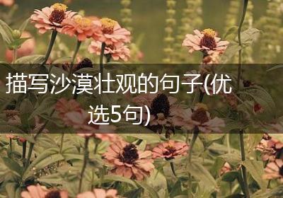 描写沙漠壮观的句子(优选5句)