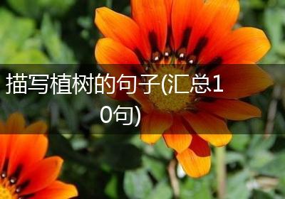 描写植树的句子(汇总10句)