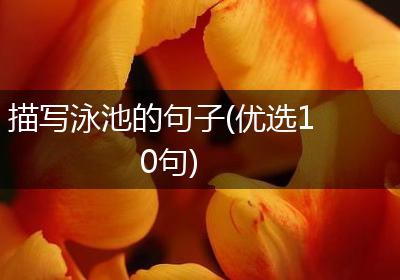 描写泳池的句子(优选10句)