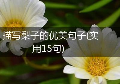 描写梨子的优美句子(实用15句)