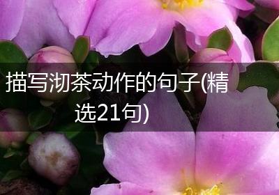 描写沏茶动作的句子(精选21句)