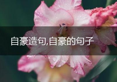 自豪造句,自豪的句子