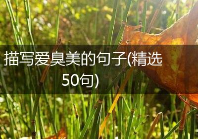 描写爱臭美的句子(精选50句)