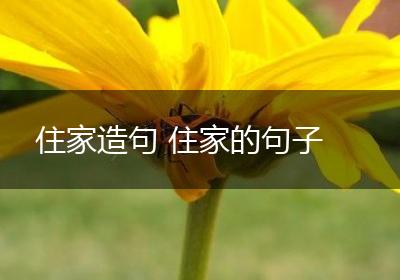 住家造句 住家的句子