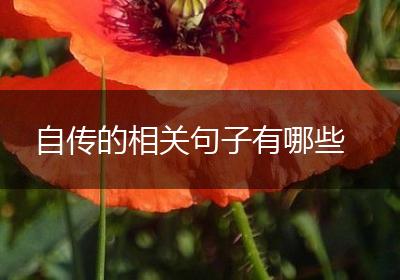 自传的相关句子有哪些