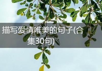 描写爱情唯美的句子(合集30句)