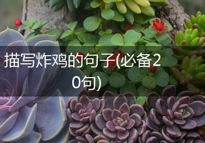 描写炸鸡的句子(必备20句)