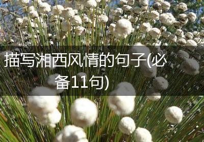 描写湘西风情的句子(必备11句)
