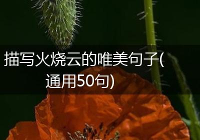 描写火烧云的唯美句子(通用50句)