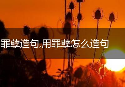 罪孽造句,用罪孽怎么造句