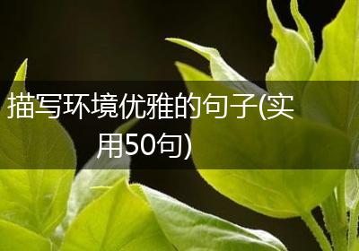 描写环境优雅的句子(实用50句)