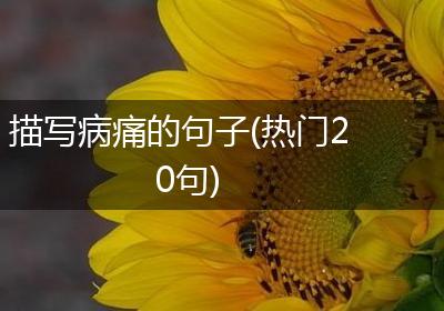 描写病痛的句子(热门20句)