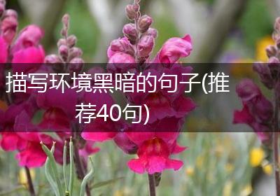 描写环境黑暗的句子(推荐40句)