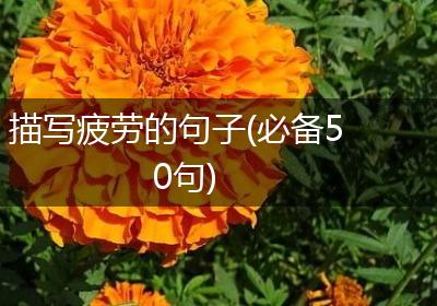 描写疲劳的句子(必备50句)