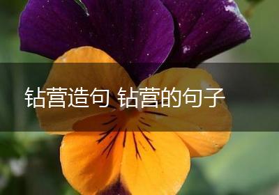 钻营造句 钻营的句子