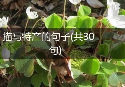 描写特产的句子(共30句)