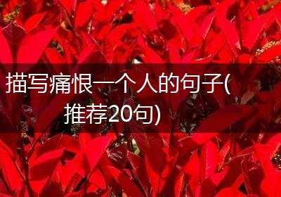 描写痛恨一个人的句子(推荐20句)