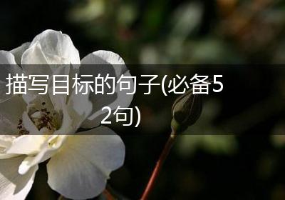 描写目标的句子(必备52句)