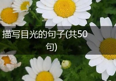 描写目光的句子(共50句)